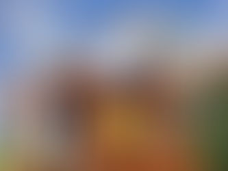 Bubbles in the Playground