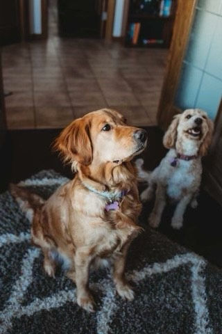 My girls (1)