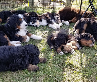 Resized_20191006_154621.jpeg