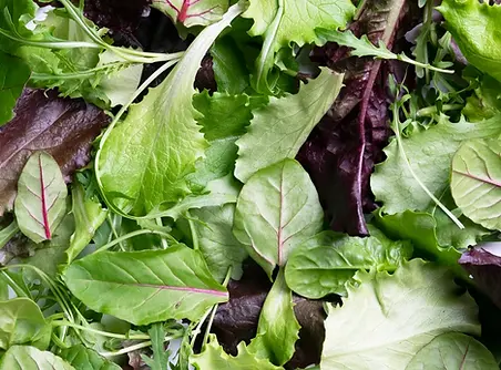 healthiest-salad-greens-mc-240711-c8a81d.webp