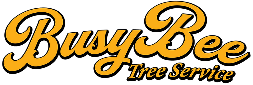 BusyBeeColor-2_edited.png