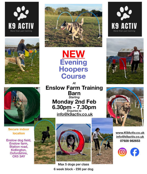 WhatsApp Image 2026-01-11 at 15.36.57.jpeg