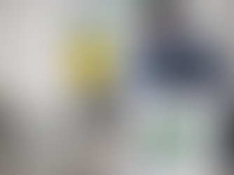 PGRSS para renovar alvará sanitário