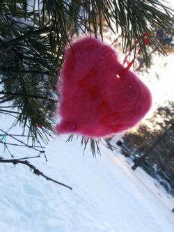 ДОЛ "Ватса-Парк"