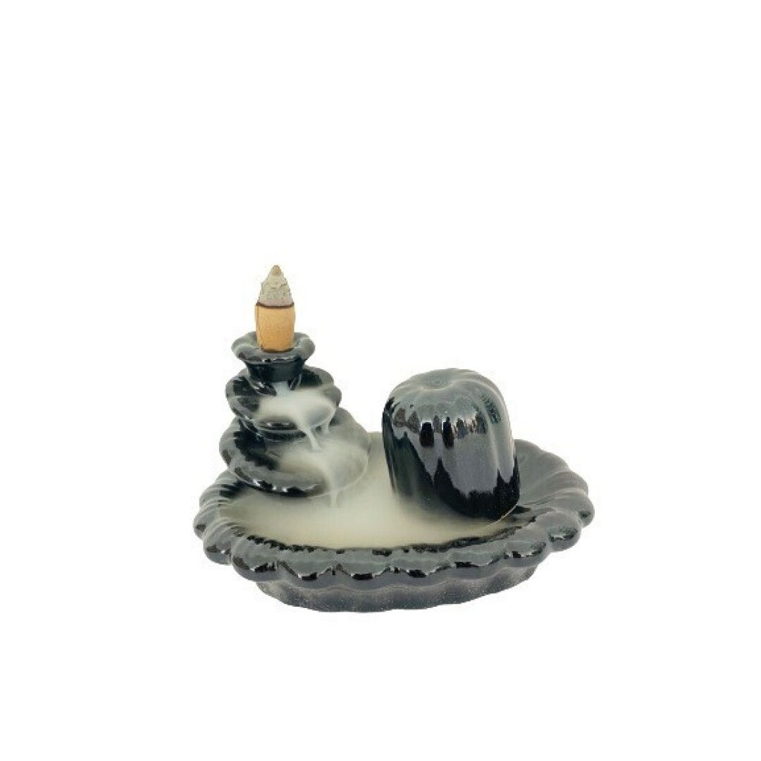 Queimador Back Flow 6