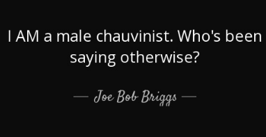 Perfect Rejoinders To Male Chauvinist Pigs