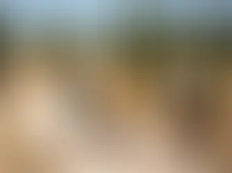 Bicycle | E-Bikes