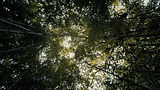 5.jpeg