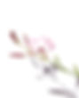 IMG_0306.JPEG