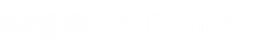 Saglo Company Logo