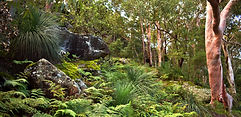 National park_edited.jpg