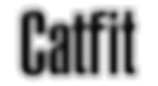 CatFIT.png
