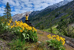 WA- hike.jpeg