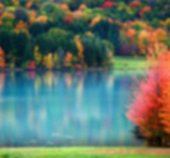 PA- Lake.jpeg