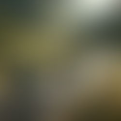 Elevate your Ride: Welcome to Souplesse Cycling