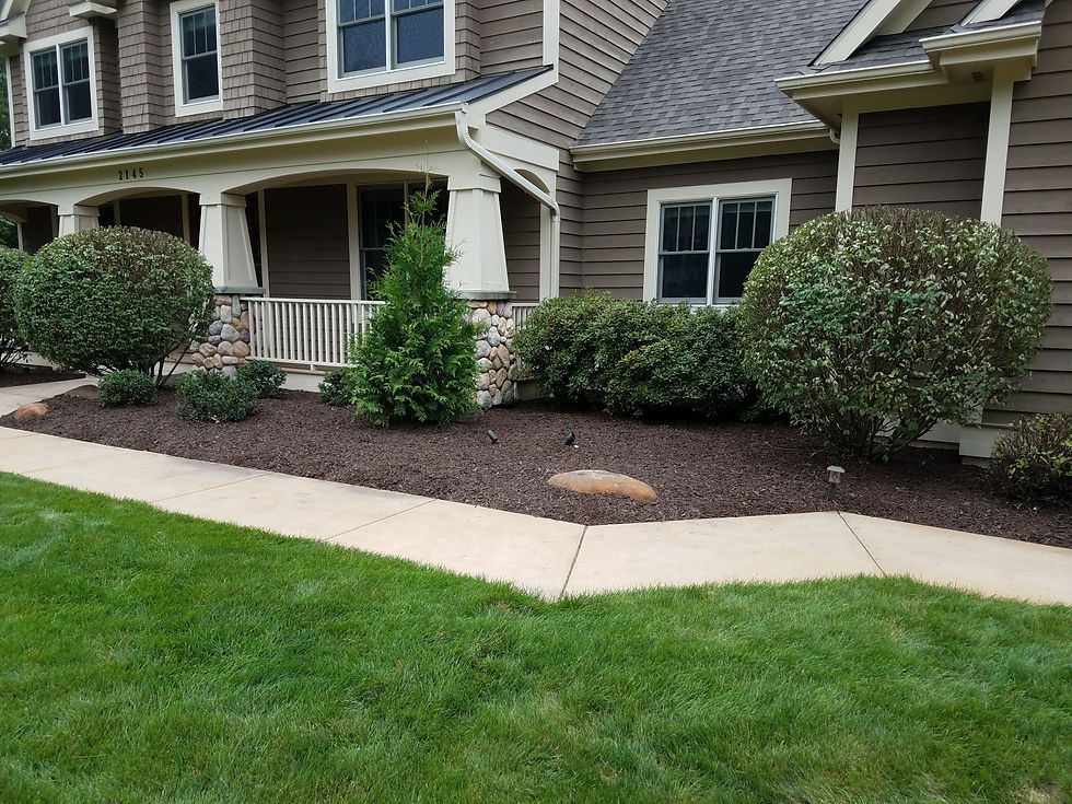 Residential Home’s Front Walkway with Recent Landscaping