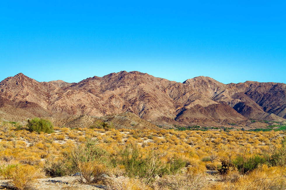 AdobeStock_236156436.jpeg