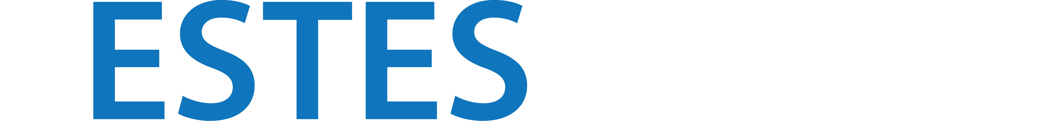 Estes-Group_Header-Logo.png