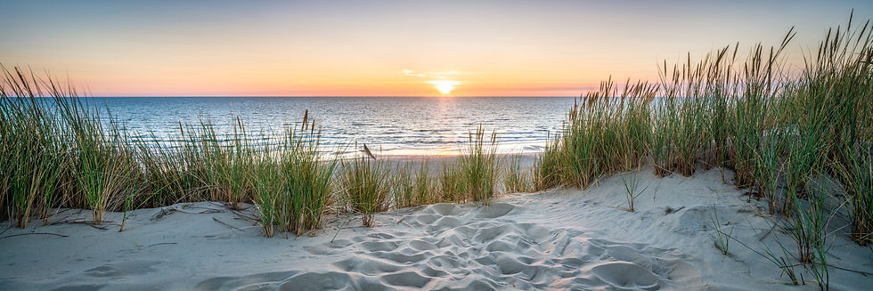 AdobeStock_334601951.jpeg