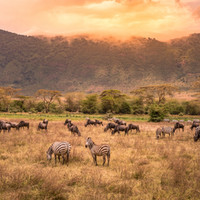 TANZANIA