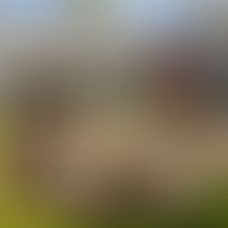 LANDSCAPE PLANNING FOR YOUR NEW CUSTOM HOME