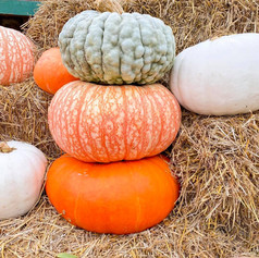 stackable pumpkins.jpeg