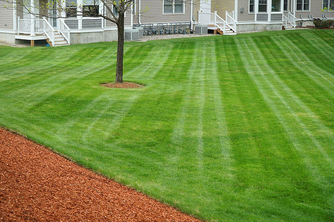 Lawn Mowing.jpeg