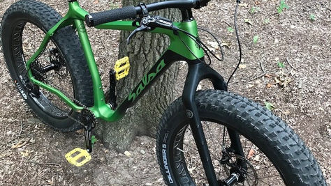 Fat Bike: The Salsa Mukluk