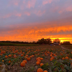 sunset at farm.jpeg