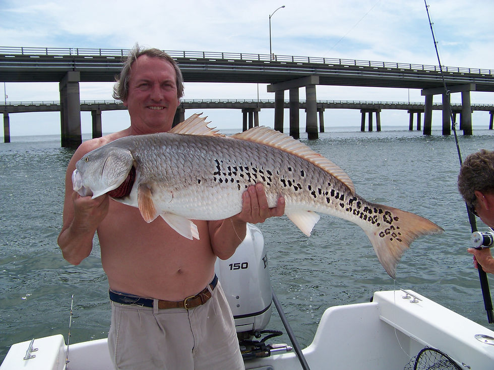Cape Charles Virginia Fishing
