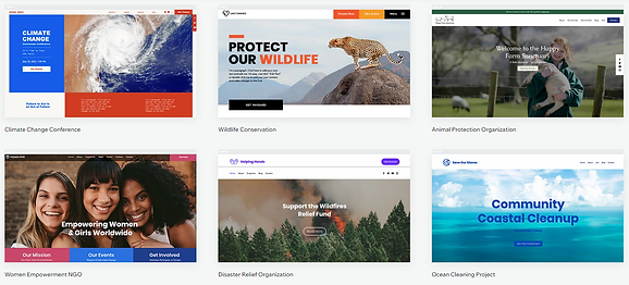 Wix Non-Profit FREE Templates