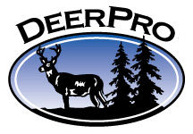 image-asset (27).jpeg