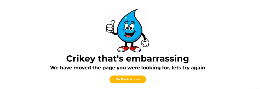 Custom 404 Page Wix | Wix Custom 404 Page