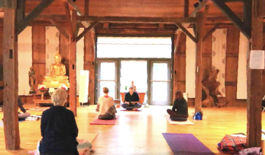 Yoga Classes