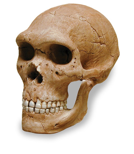 file.jpg