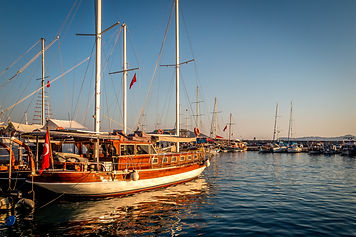 AdobeStock_338020922.jpeg
