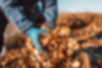 AdobeStock_477283486.jpeg