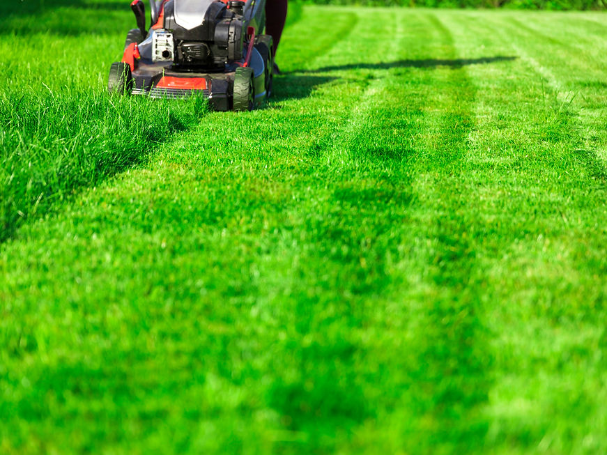 AdobeStock_325589015 (1).jpeg