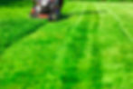 AdobeStock_325589015 (1).jpeg