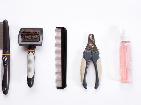 How to Groom an Australian Labradoodle