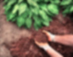 AdobeStock_377545428.jpeg