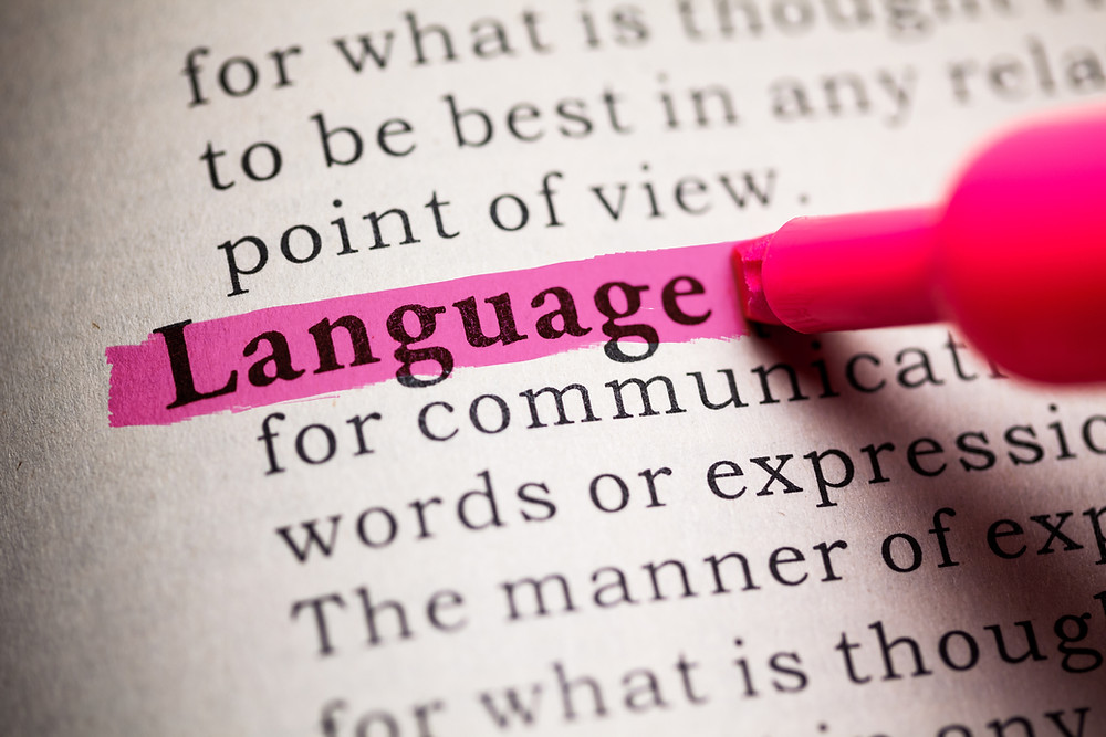 Language In The Dictionary