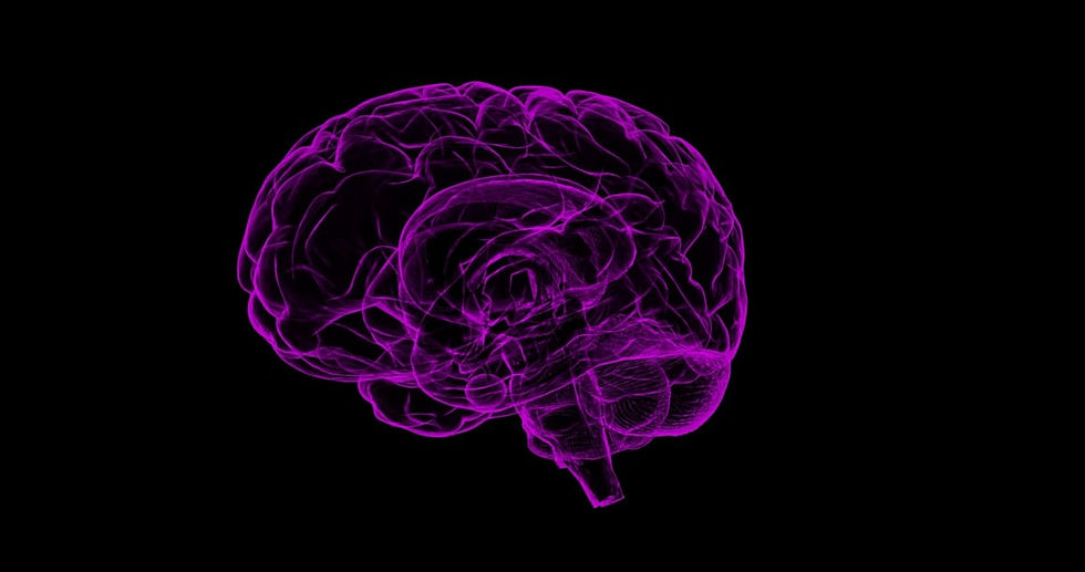 Purple Brain Outline