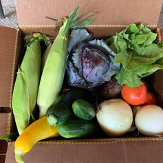 produce box example.jpeg
