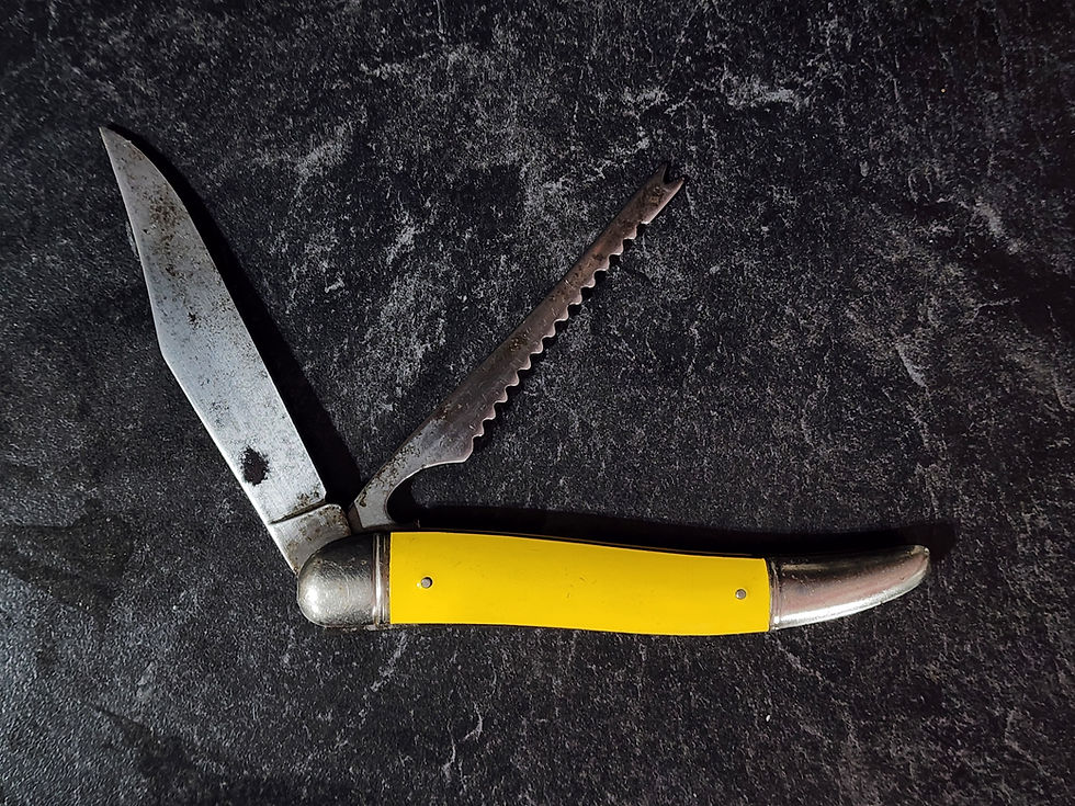 Thumbnail: Imperial U.S.A. Fishing Fish Scaler