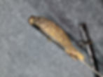 Thumbnail: German Officer’s Dress Sword – Ornate Brass Hilt with Scabbard