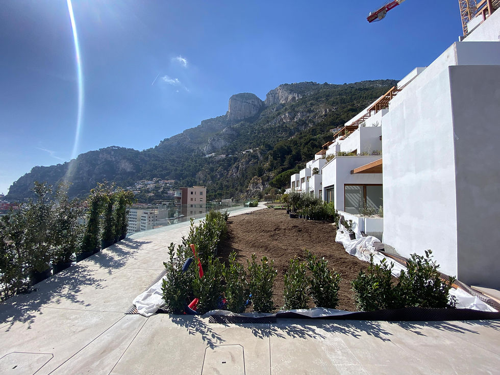 Monaco1