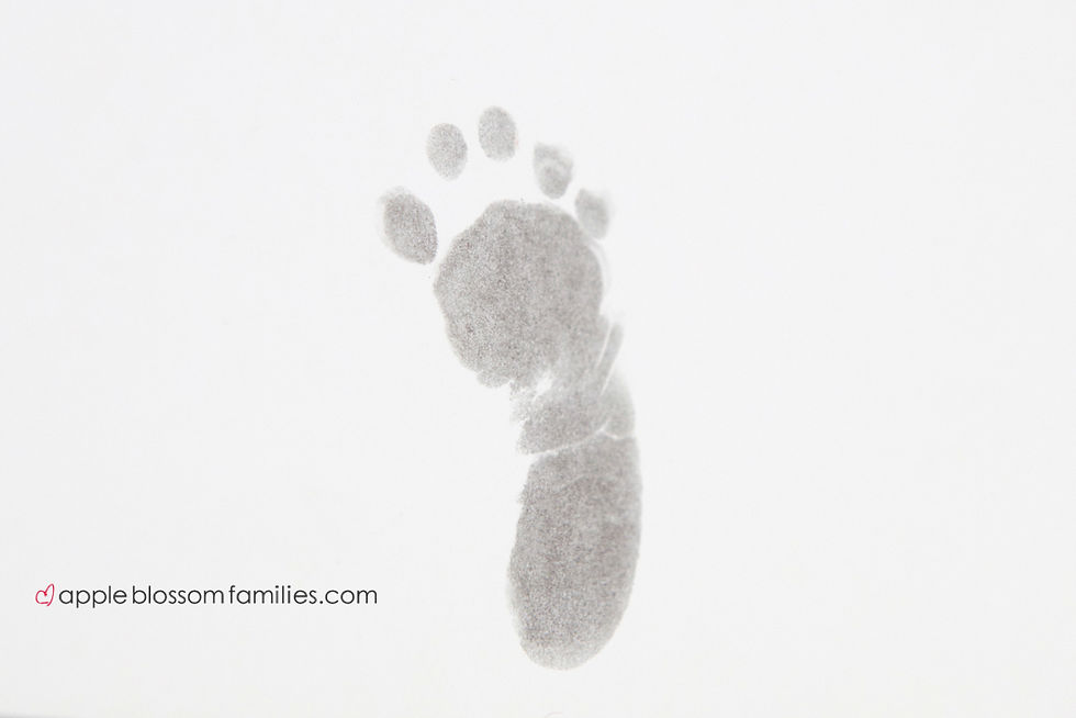 footprint
