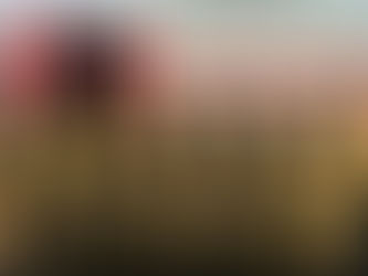 TECHNISCHE LEISTUNGSPRÜFUNG