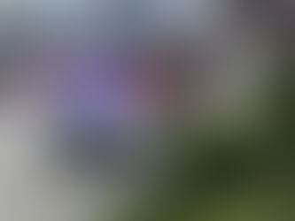 Türöffnung Wallbachstraße